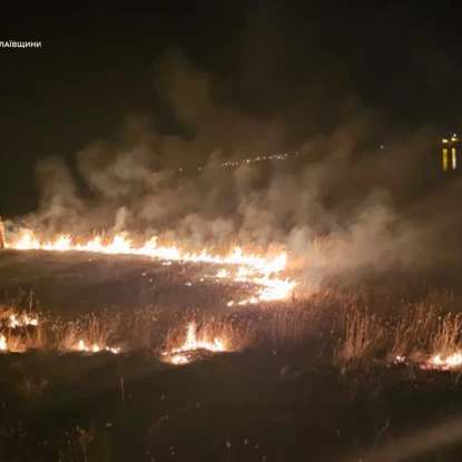 Пожары в Николаевской области 3 октября, фото: ГСЧС Николаевской области