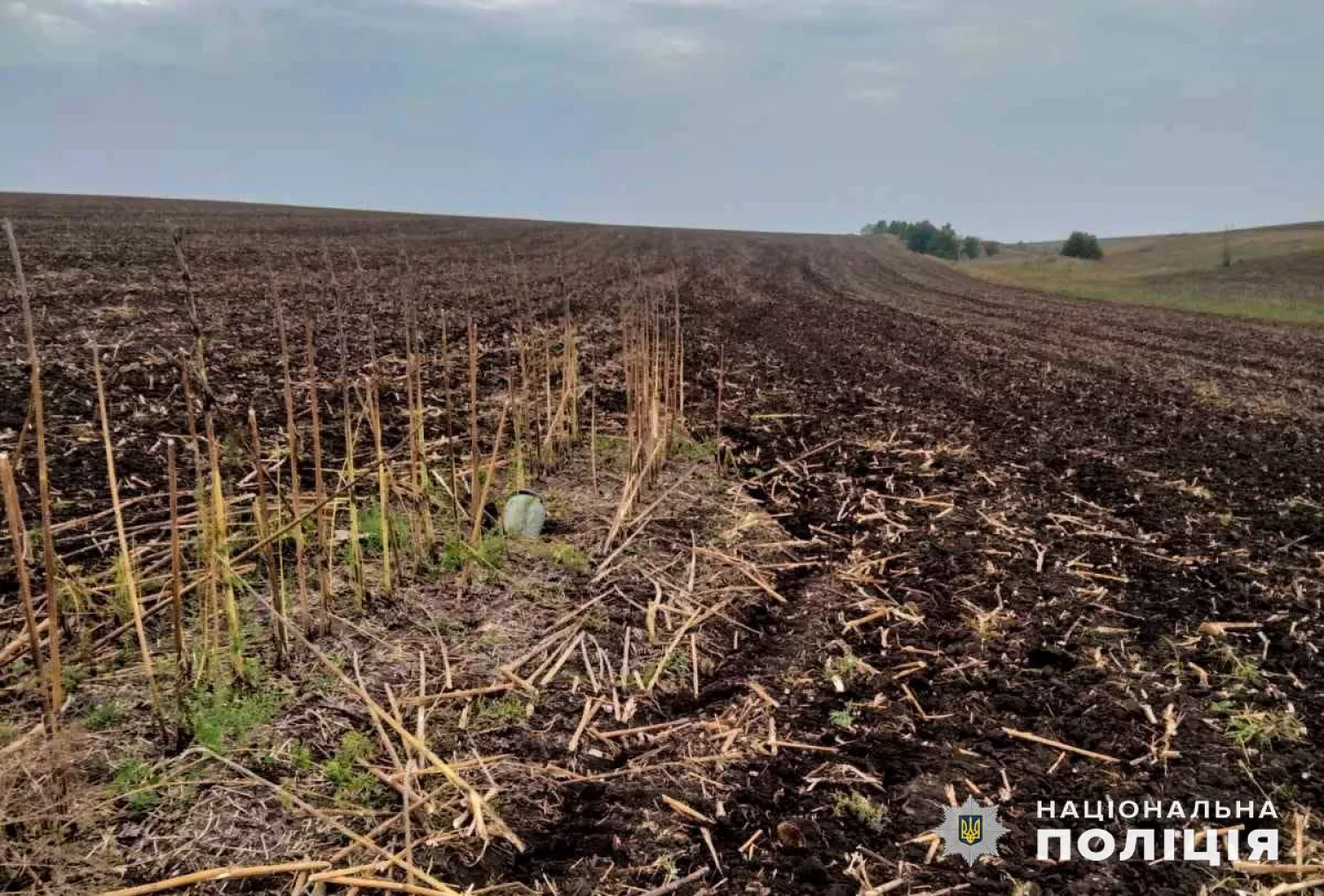 Вибухонебезпечний предмет, який знайшли у полі на Миколаївщині, фото: Нацполіція Миколаївської області