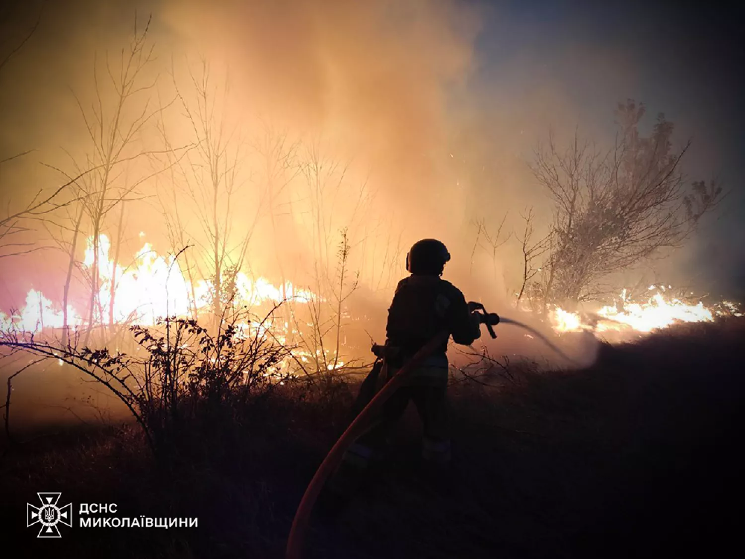 Пожары в Николаевской области. Фото: ГСЧС