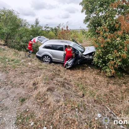 ДТП поблизу села Половинки у Миколаївському районі, фото: Нацполіція Миколаївщини