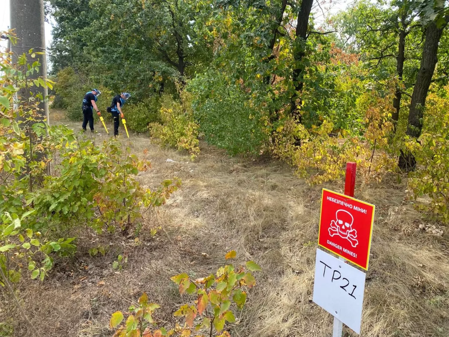 У Миколаєві обстежують урочище «Дубки». Фото: Посольство Данії в Україні.