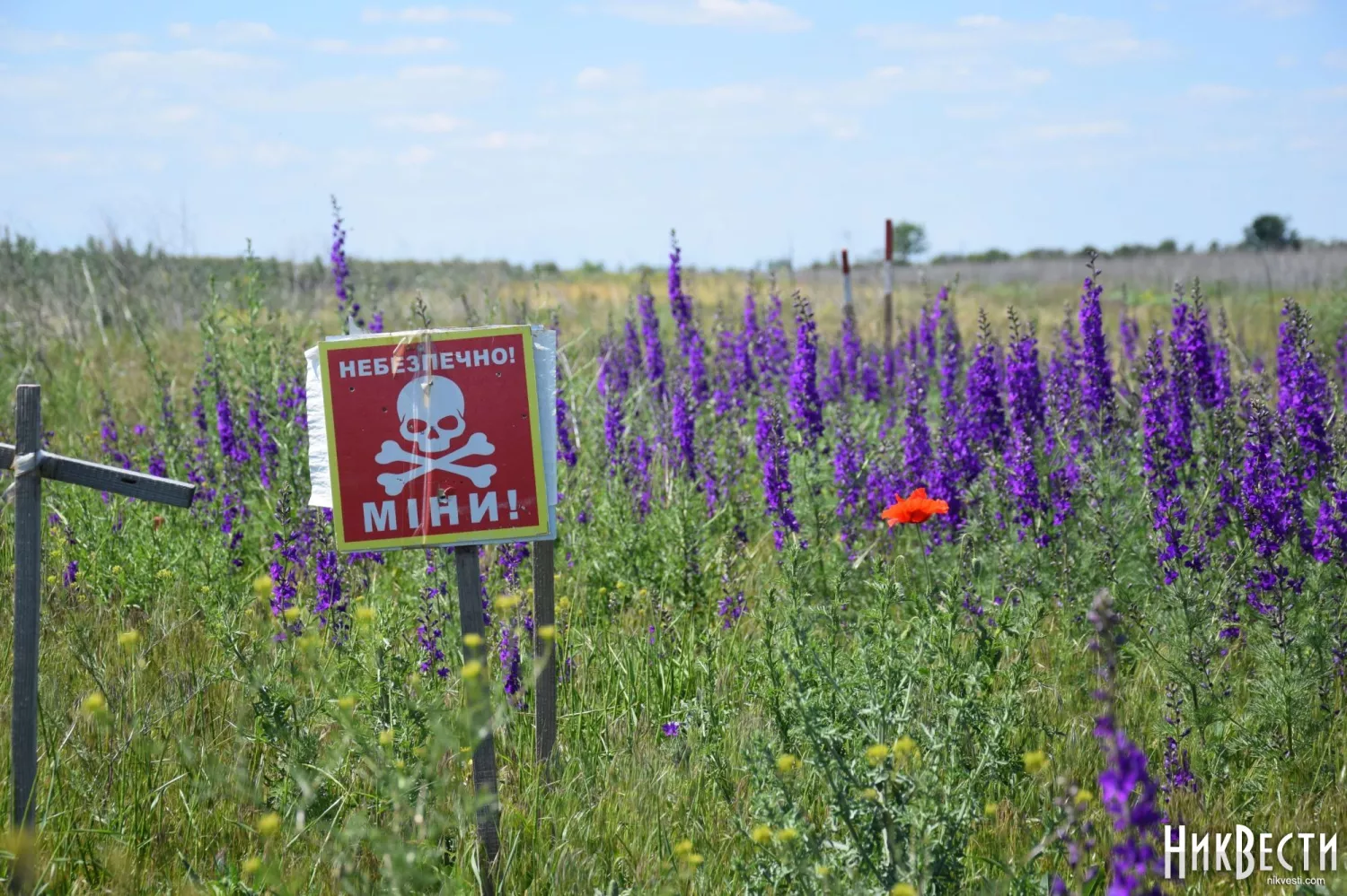 Mined field. Archive photo: «NikVesti"