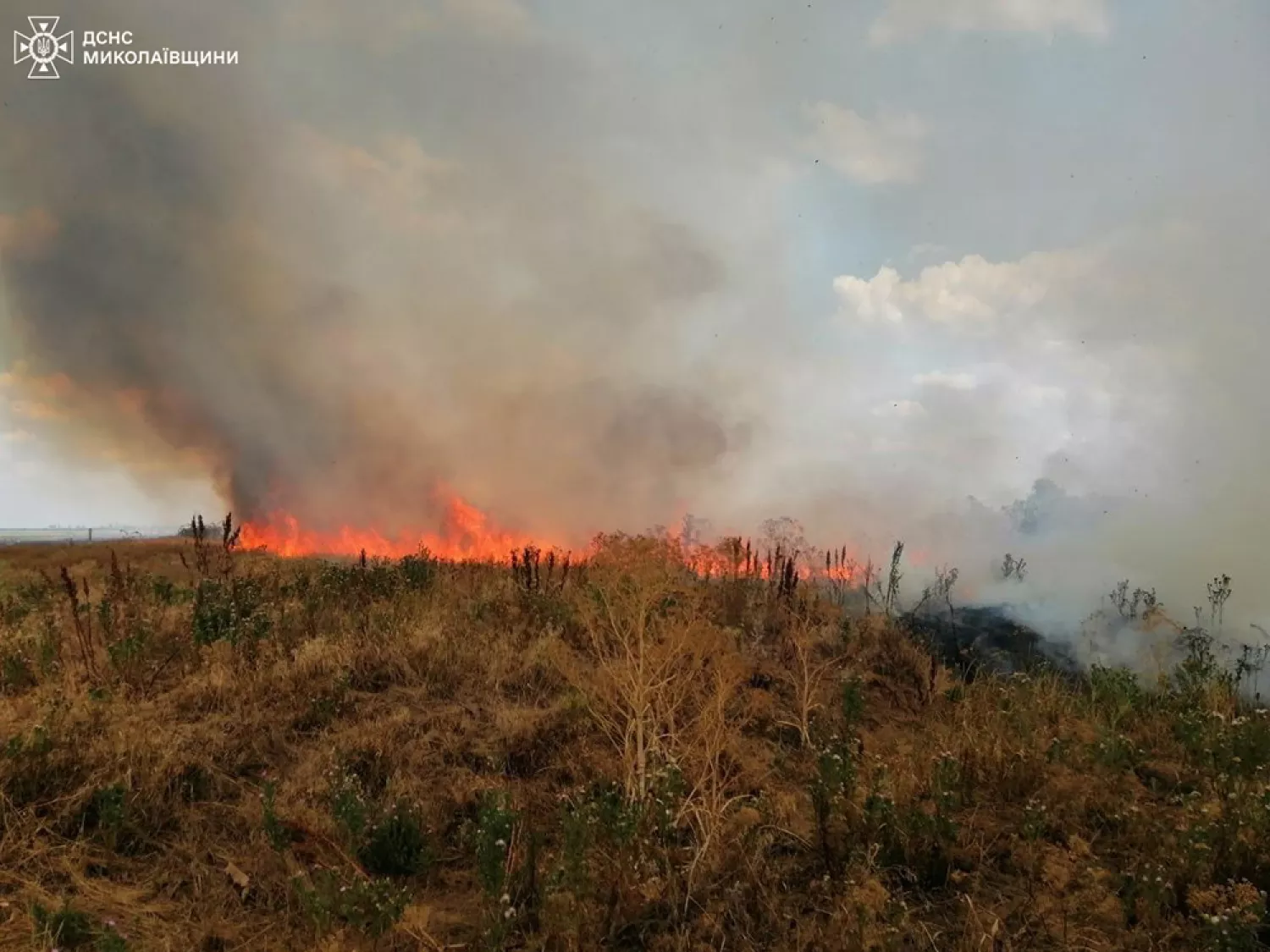 Пожар в Николаевской области. Фото: ГУ ГСЧС в Николаевской области