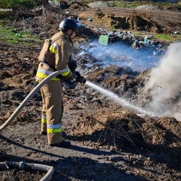 Пожежа у Миколаївській області 8 жовтня, фото: ДСНС Миколаївщини