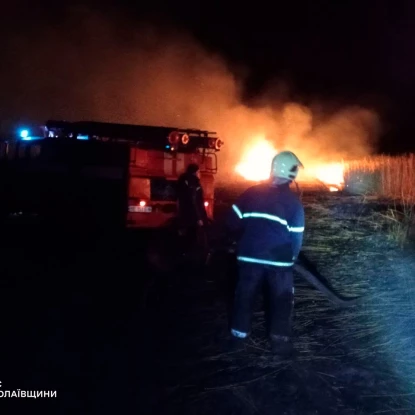 Пожар в Николаевской области 11 ноября, фото: ГСЧС