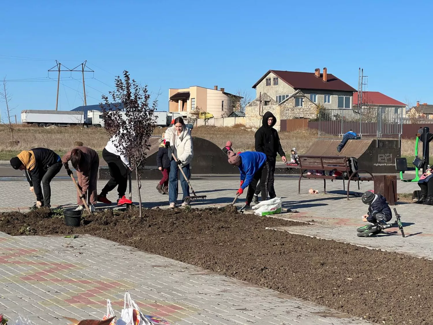 У мікрорайоні Миколаєва Тернівка висадили новий сквер. Фото: Департамент архітектури та містобудування Миколаївської міської ради