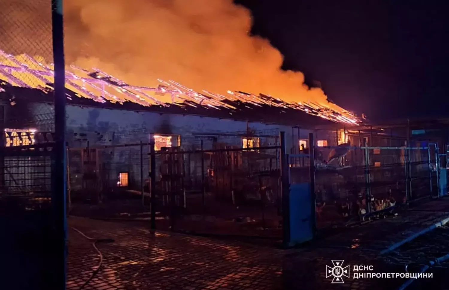 На Дніпропетровщині вночі загорілась кінна ферма. Фото: ДСНС