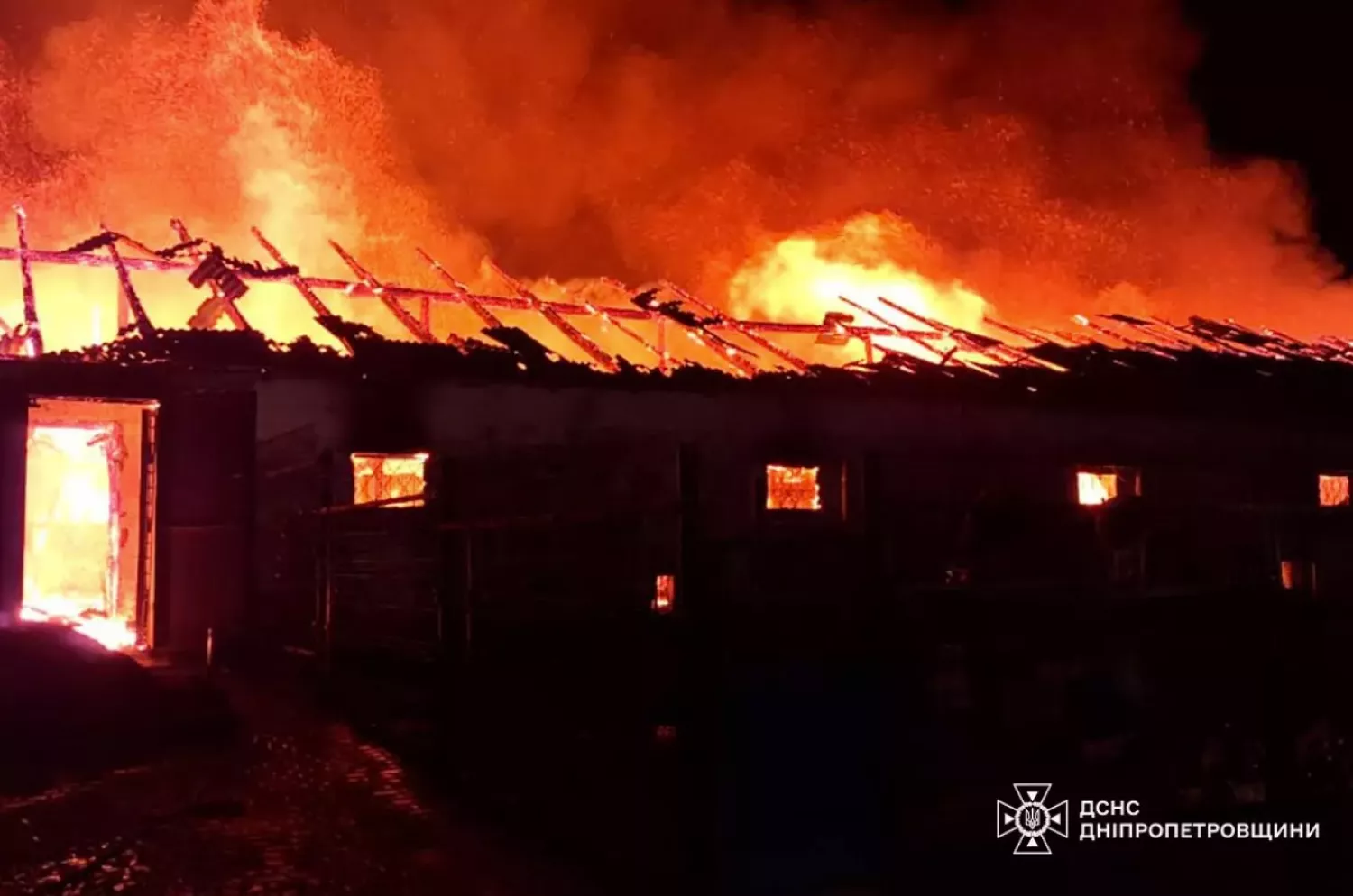 На Дніпропетровщині вночі загорілась кінна ферма. Фото: ДСНС