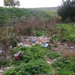 Незаконне сміттєзвалище, фото: Держекоінспекція