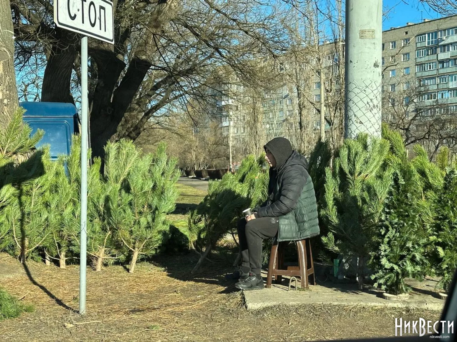 Продажа елок в Николаеве.