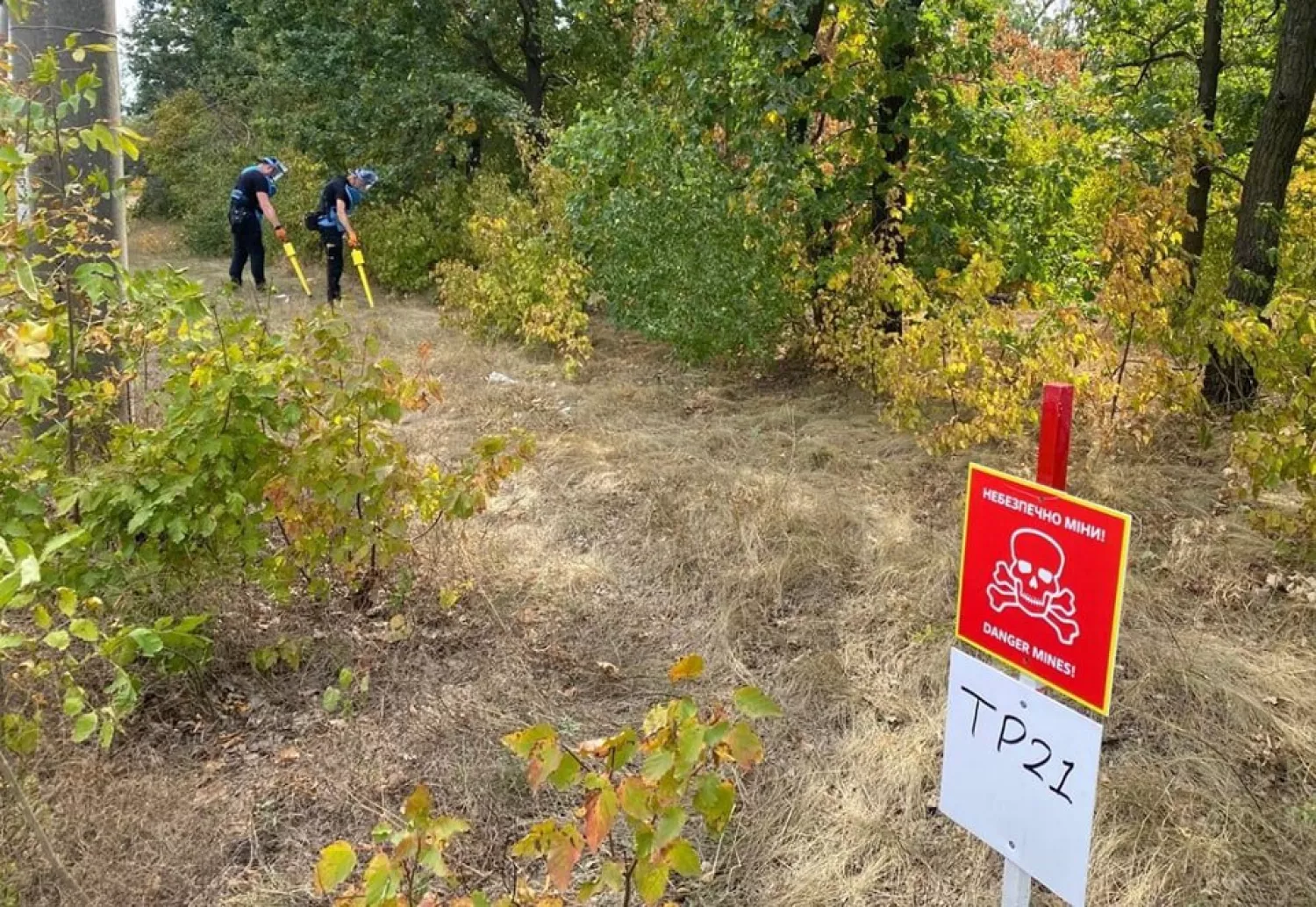 Розмінування парку 