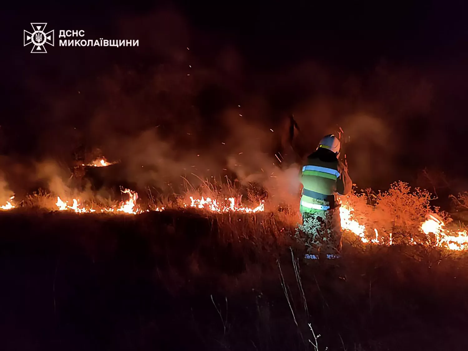 Пожежа у Миколаївській області 2 листопада, фото: ДСНС Миколаївщини