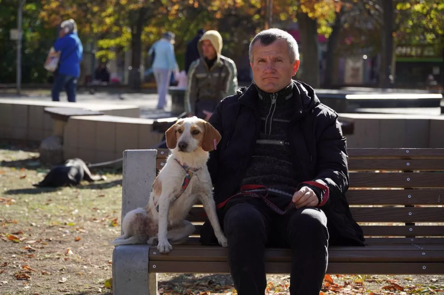 У Миколаєві пройшла виставка-прилаштування тварин. Фото: 