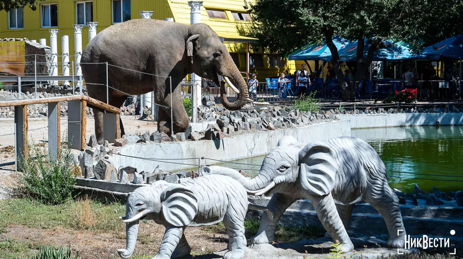 Mykolaiv Zoo, photo «NikVesti"