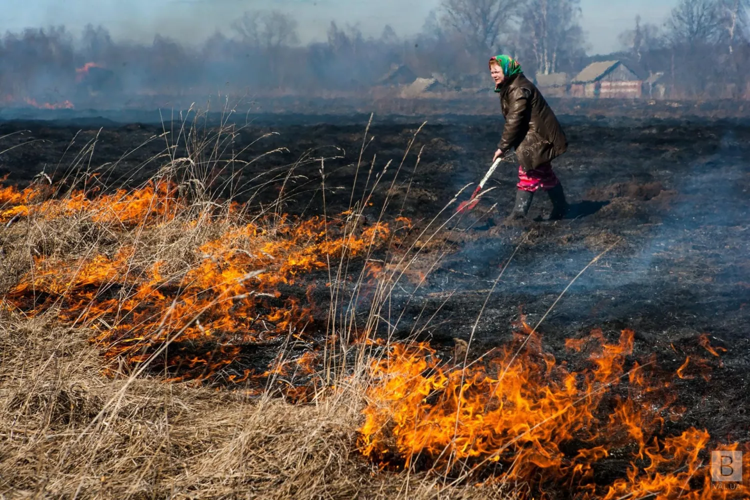 Чому осіннє спалювання листя шкідливе для вас і довкілля. Фото: Екополітика