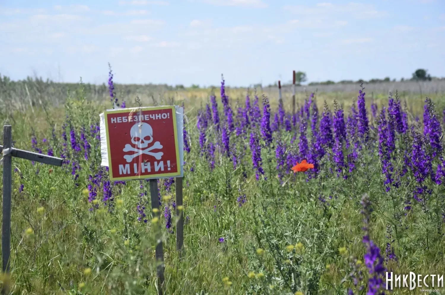 Demining on the territory of the Mykolaiv region. Archive photo «NikVesti"