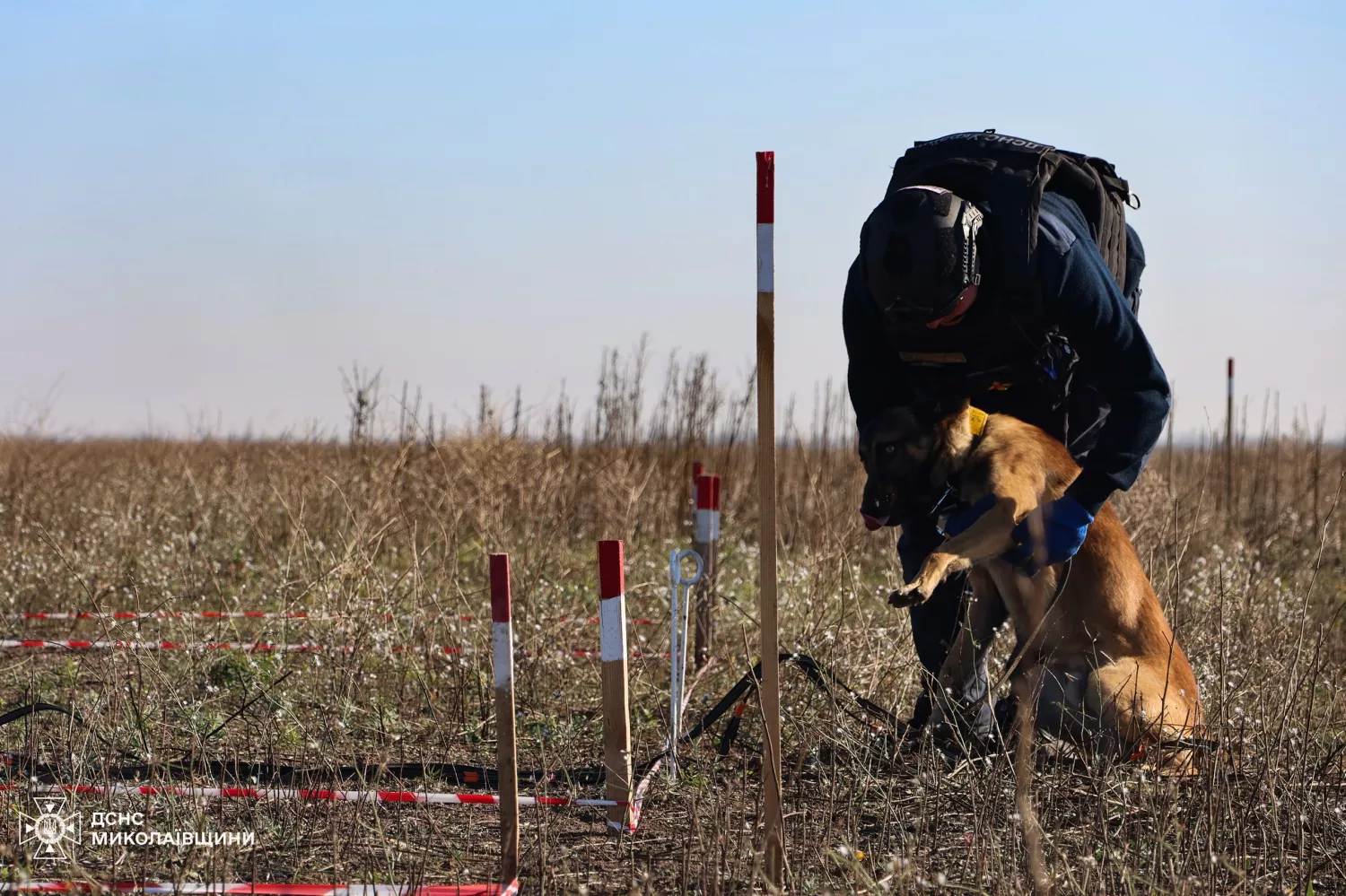 Demining of the Mykolaiv Oblast. Photo: press service of the State Emergency Service in the Mykolaiv region