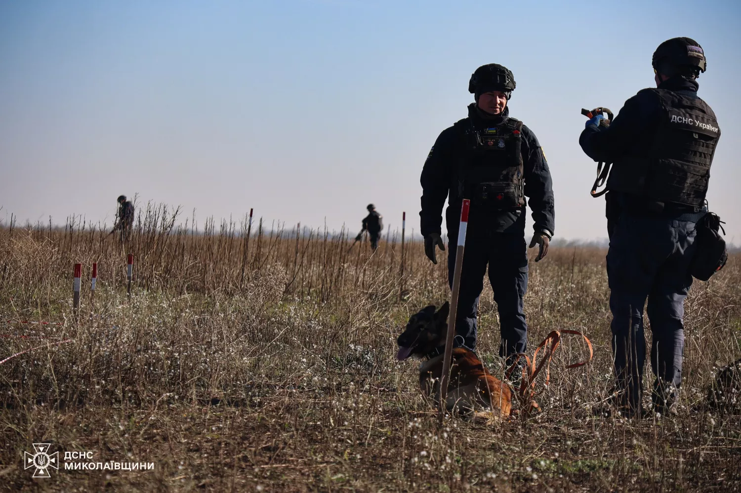 Demining of the Mykolaiv Oblast. Photo: press service of the State Emergency Service in the Mykolaiv region