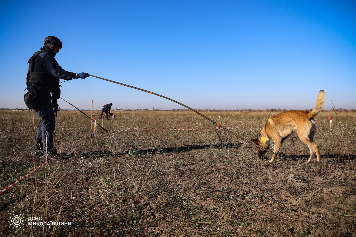 Demining of the Mykolaiv Oblast. Photo: press service of the State Emergency Service in the Mykolaiv region