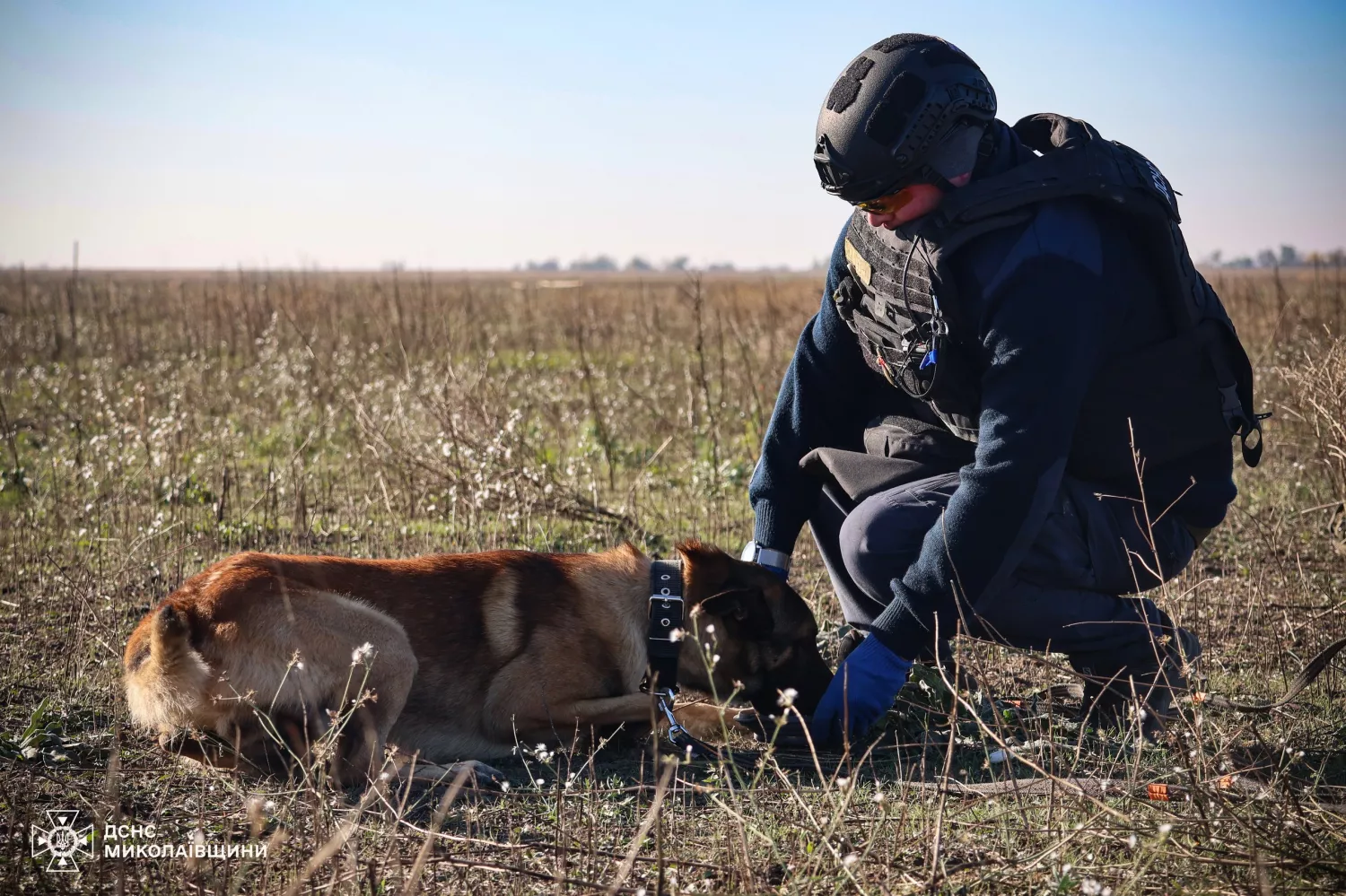 Demining of the Mykolaiv Oblast. Photo: press service of the State Emergency Service in the Mykolaiv region