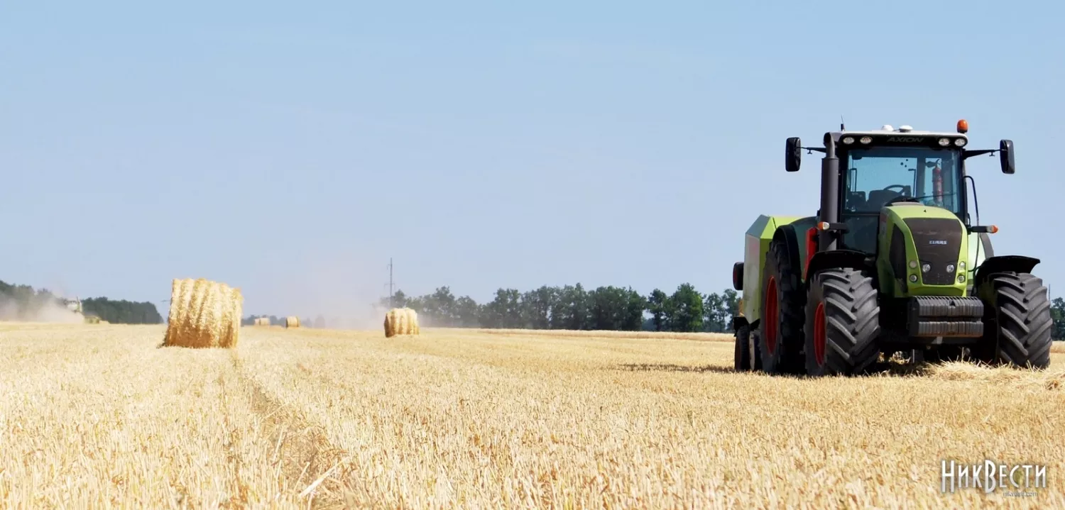 Mykolayiv region sold agricultural products to 110 countries for $700 million. Archive photo «NikVesti"