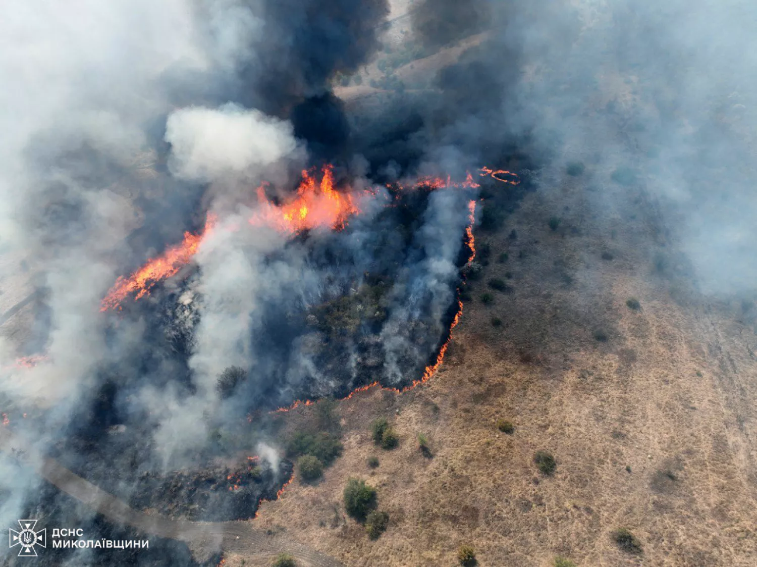 Fire in a field in Mykolaiv region, summer 2024, photo: Main Department of the State Emergency Service of Ukraine in Mykolaiv region