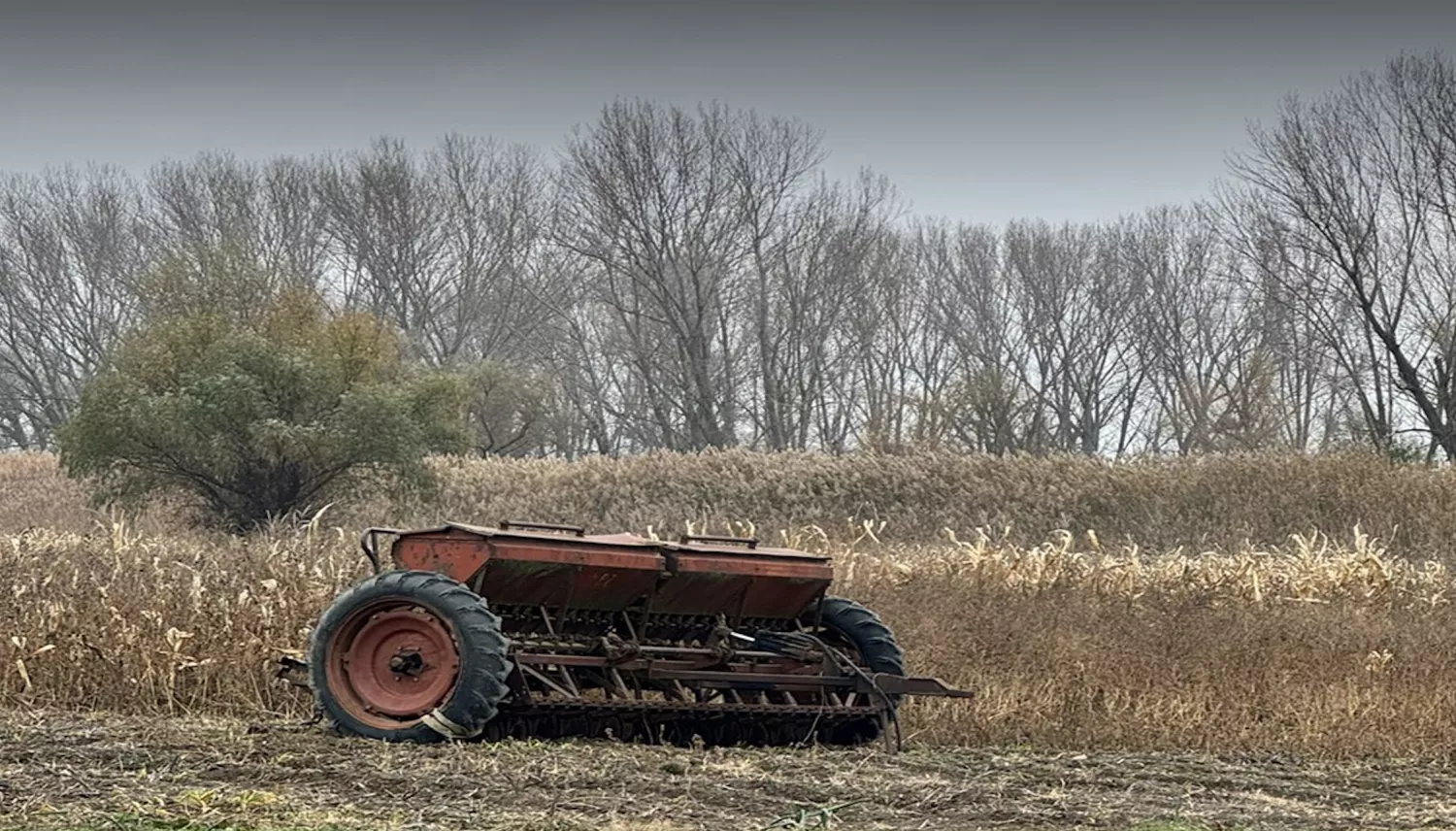 На Одещині викрили підприємство, яке легалізувало необліковане зерно. Фото: БЕБ