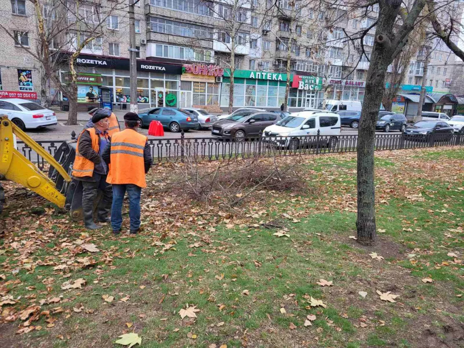 Робітники «Миколаївводоканалу» пошкодили дерева технікою. Фото: екологічна служба