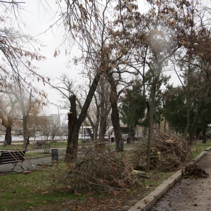 Територія верхньої та нижньої Набережної. Фото: КП «Миколаївські парки»