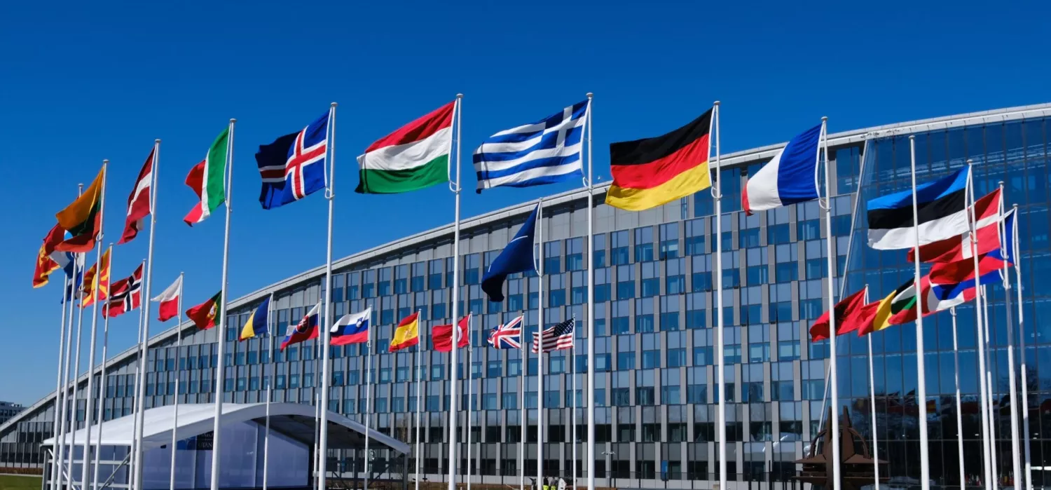 Flags of NATO countries, photo: ukrainianworldcongress.org