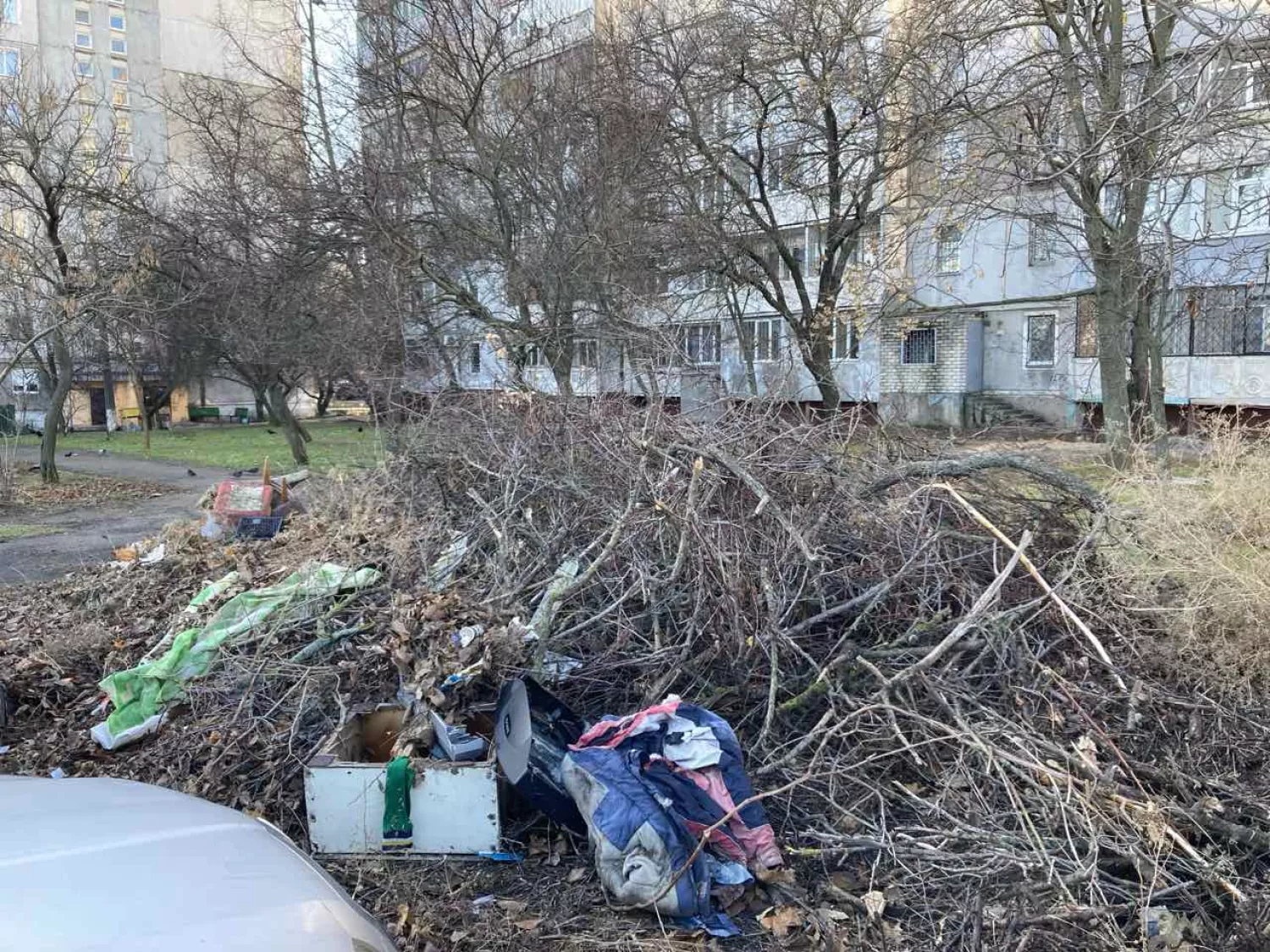 Звалище в Cоляних. Фото з контакт-центру Миколаївської міськради