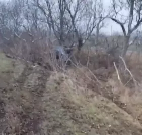 Внаслідок аварії під Миколаєвом постраждала дитина. Скріншот з відео користувача Інстаграм: da_writer_now