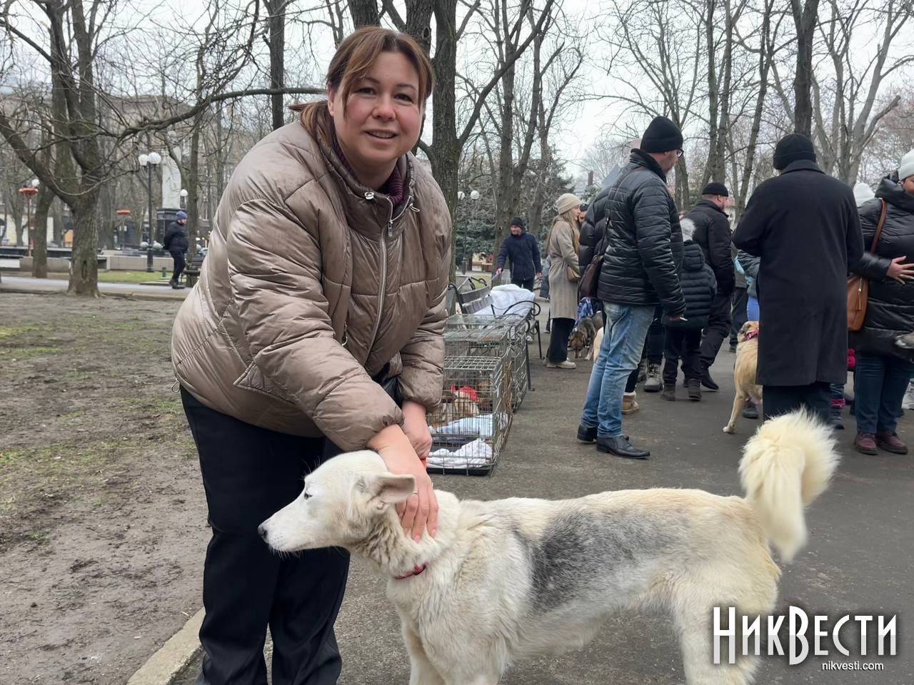 Нашли дом для 13 четырехлапых: в Николаеве прошла выставка-пристройка  животных, — фото