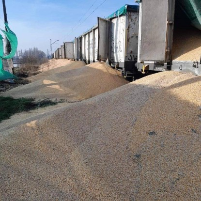 На польской границе снова высыпали украинское зерно. Фото: Мининфраструктуры