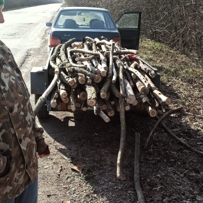 Перевозив на Миколаївщині стовбури дерев без документів /  Фото: Держекоінспекція