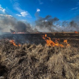 Пожар в Николаевской области.