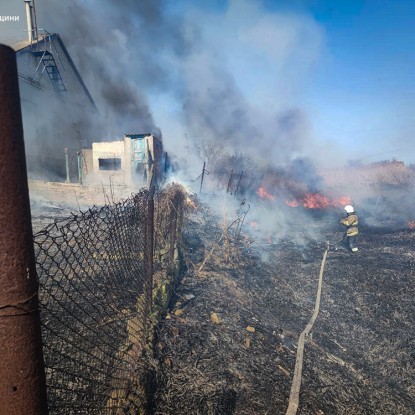 Пожар сухой травы в Баштанке / Фото: ГСЧС в Николаевской области