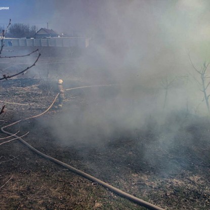 Пожежа сухої трави в Баштанці / Фото: ДСНС у Миколаївській області