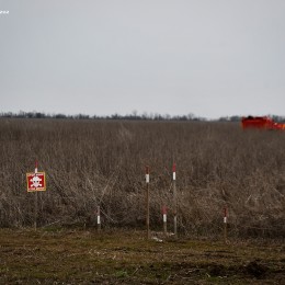 Более 47, 3 га разминировано в Николаевской области. Фото: ГСЧС в Николаевской области