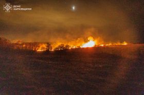 Пожар под Харьковом 13 марта / Фото: ГСЧС