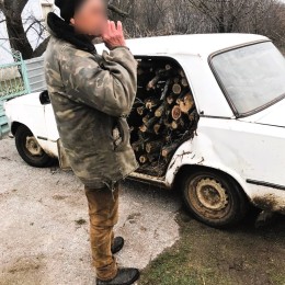 На мешканця Миколаївщини склали адмінпротокол за перевезення зрубаних дерев без дозволу / Фото: Держекоінспекція