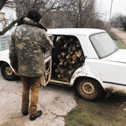 На мешканця Миколаївщини склали адмінпротокол за перевезення зрубаних дерев без дозволу / Фото: Держекоінспекція