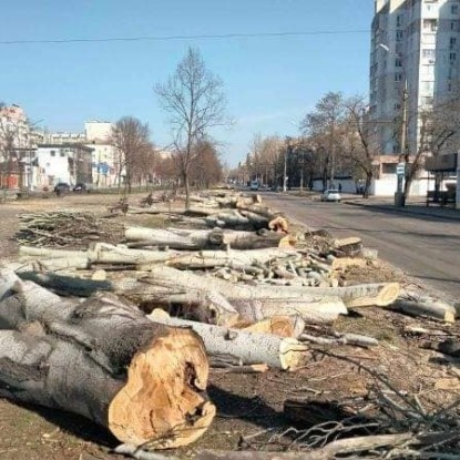 Зрублені тополі на Центральному проспекті Миколаєва, початок березня 2022 року