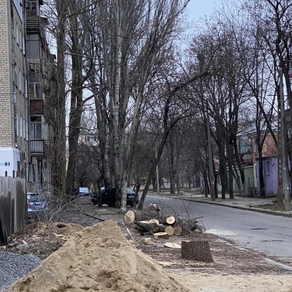 Николаевцы просят проверить законность вырубки деревьев Фото со страницы контакт-центра Николаевского горсовета