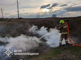 В Николаевской области увеличилось количество пожаров в экосистемах / Фото: ГУ ГСЧС