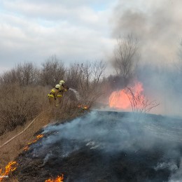 Пожары в экосистемах Николаевщины / Фото: ГСЧС