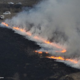 Пожары в экосистемах Николаевщины / Фото: ГСЧС