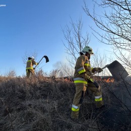 Пожары в экосистемах Николаевщины / Фото: ГСЧС