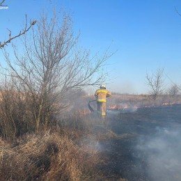 Пожары в экосистемах Николаевщины / Фото: ГСЧС