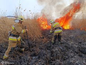 Пожары в экосистемах Николаевщины 11 марта / Фото: ГСЧС